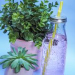 Are sugar-free energy drinks bad for you? Learn about the health risks of drinking these drinks.